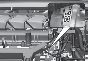 Hyundai Venue. Tire Specification and Pressure Label, Engine Number, Refrigerant Label